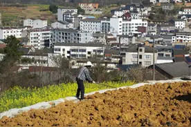 城市户口，如何才能迁回到农村户口图片