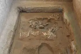 10年发掘 秦始皇陵兵马俑类型获更新 首次出土秦军盾牌遗迹图片