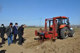 山药收获机作业效率是人工30-40倍，青岛平度加速设备研发图片