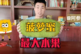 小伙80元买来一整个菠萝蜜 能剥出多少颗果肉呢？图片