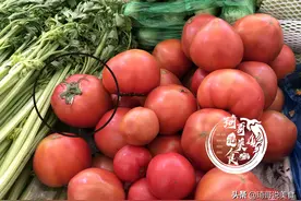 用催熟剂的“菜番茄”怎么辨认？记住这4个特征，远离激素西红柿图片