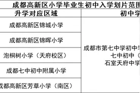 今年小升初，天府新区民办最特别，高新区公办最特别图片