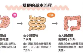男性的交配和排尿共用一个开口，为何两者却不会同时进行？图片