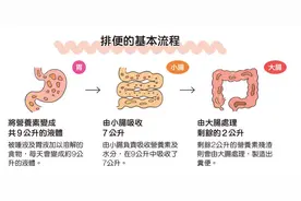 男性的交配和排尿共用一个开口，为何两者却不会同时进行？图片