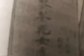 不懂外文的翻译家一一林纾图片