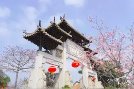 番禺，掂！图片