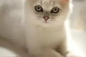 时间不够用，只好去梦里偷点，晚安图片