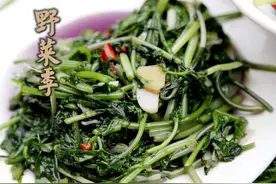 舌尖上的美味！平武野菜新鲜出炉！刺龙苞、鹿耳韭、广东苔....真香！图片