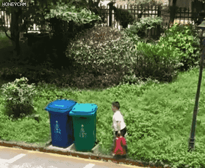 小胖墩“高难度扔垃圾”，10秒视频火爆全网！哈哈哈是个高手图片