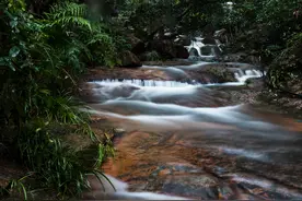 雨后的鼓山，带你走进清新山林图片