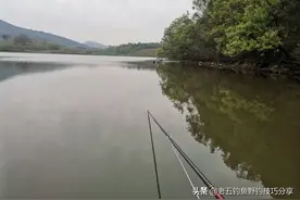 水深宜钓灵，水浅宜钓顿，不同水深不同钓法灵活转别鱼获更佳图片