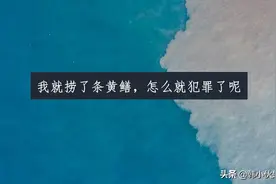 我就捞了条黄鳝，怎么就涉嫌犯罪了呢？图片