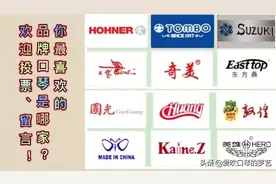 你最喜欢的口琴品牌是哪家？图片