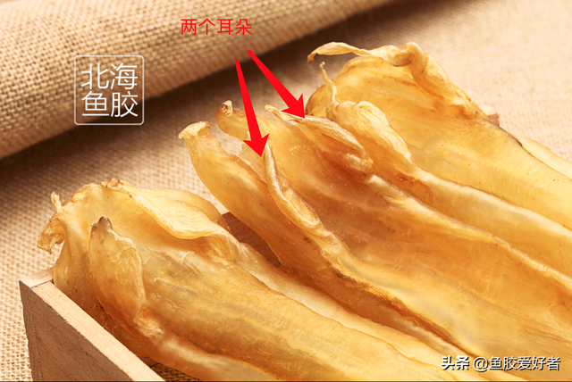 北海筒鱼胶与北海鱼胶 2026年北海筒鱼胶与北海鱼胶的区别