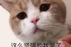 不可思议？96名浙大本科生，报考“杭电”研究生引热议图片