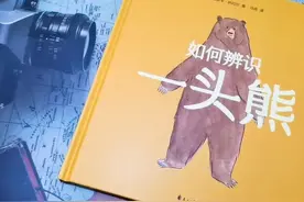 关于熊的故事和如何保护好“熊”的方法论图片