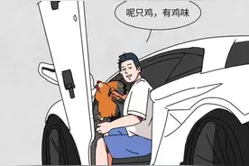 漫画：北上广深富二代图鉴图片