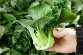 蔬菜如何焯，营养才不会“跑”图片