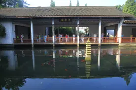 浙江杭州西湖：玉泉观鱼图片