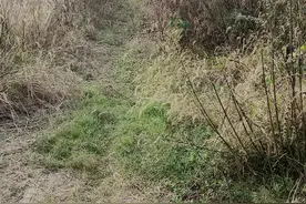 十四亿人都去哪儿了？图片