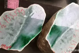 狗屎地里出高绿，仅十万分之一的逆袭概率，你心动了吗？图片