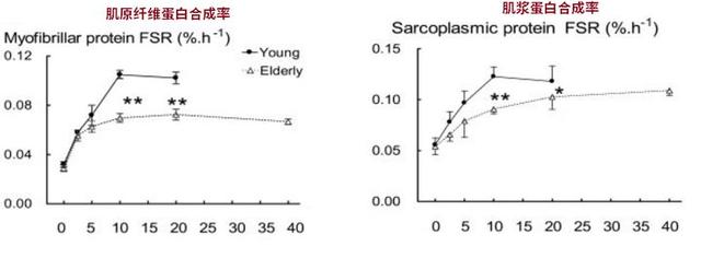 不健身直接吃蛋白粉会怎么样？