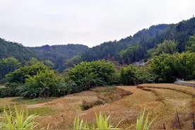 卜算子•平远凤朝坑与友越广烟嶂念祖母图片