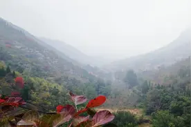 我的秋天手稿：总归是秋天图片