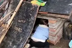 三岁萌娃进狗窝扒拉狗崽，动作太熟练，狗妈妈反应笑哭网友图片