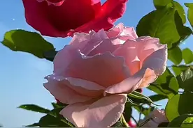 追女人最好的方式，不是频繁讨好，而是做好这三件事图片