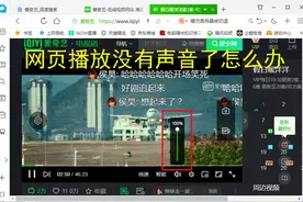 只是网页没有声音了咋回事？其它地方都正常有声音图片