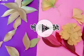 一声梧叶一声秋图片