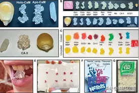 太有爱了！一位父亲把生物课本插图，做成了精细的立体糖果图片