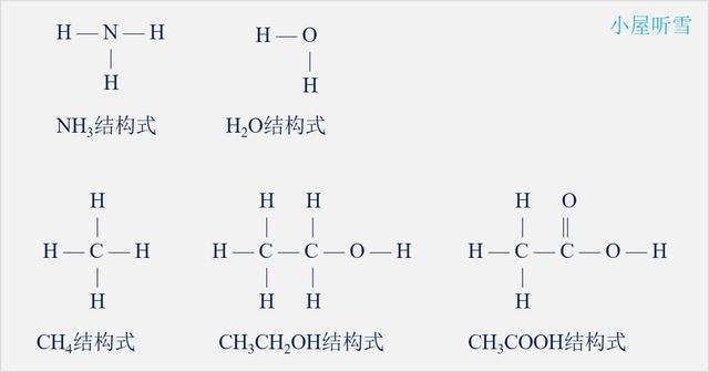 突破氨基酸结构难点，轻松掌握《生命活动的承担者——蛋白质》