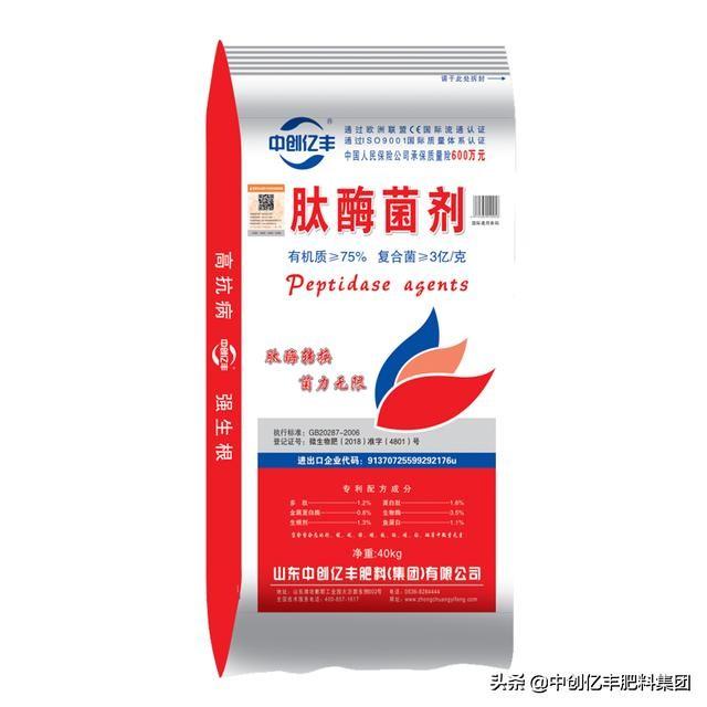天竺葵花语是什么？天兰葵的养殖方法介绍