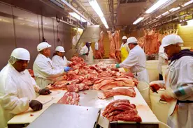 德肉联厂超千人感染！肉类加工场所会成为新冠病毒温床吗？图片