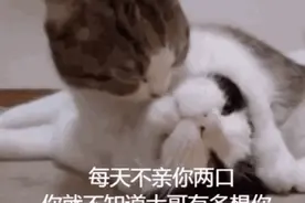 抖音热门表情包｜没有那种世俗的欲望图片