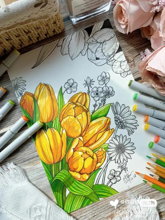 马克笔色彩鲜艳,上色快速因此可以用来画底色让画面鲜艳起来,而彩铅