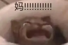 书荒的朋友们进图片