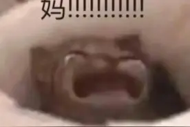 书荒的朋友们进图片