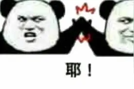 那些有意思的熊猫头表情包图片