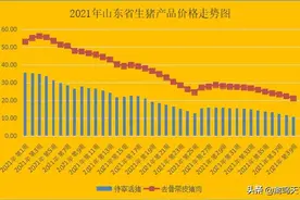 2021年三季度山东省畜禽养殖成本收益测算：生猪持续亏损，肉牛奶牛盈利，家禽肉羊盈亏震荡图片