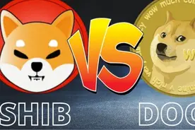 今年涨28万倍的“shib币”前世今生，币圈真可以点石成金？图片