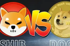 今年涨28万倍的“shib币”前世今生，币圈真可以点石成金？图片