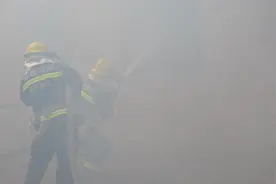 羊场、鸡窝、猪圈......蓝朋友困在家畜圈了图片