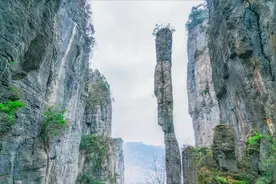 湖北民营酒企大黑马：一年入账上百亿，老板赢来220多亿财富图片