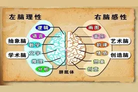 左右脑思维测试题：8张图全部答对的是天才，答对前4张的是右脑图片