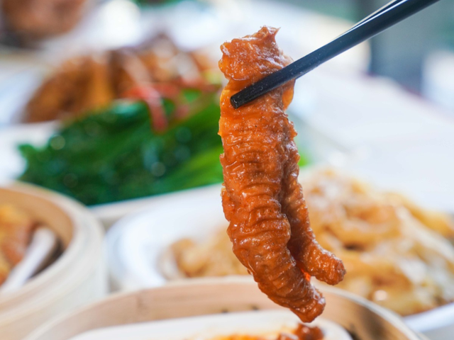 花胶与牛展能同炖吗 2026年花胶可以和牛骨一起煲汤吗