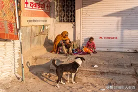 印度有几百上千万人在城市流浪、乞讨，他们为什么不回老家种地？图片