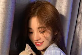 新成员！鞠婧祎晒宠物直呼是小宝贝 怀抱小猫超亲昵图片